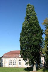 Killikus&reg; Fotographie